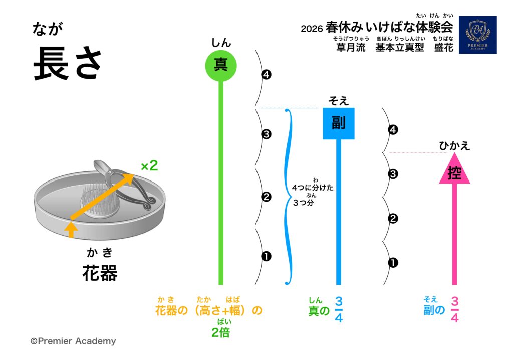 Premier Academy作成のいけばな体験会教材。草月流基本立身型盛花における真・副・控の長さの比率を、花器の大きさと分数で説明した図